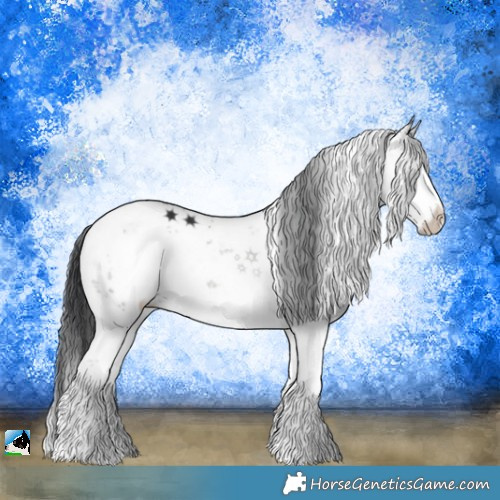 Horse Color:Grullo Mushroom Sabino Rabicano