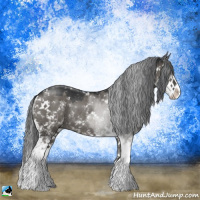 Horse Color:Grullo Mushroom Sabino Rabicano