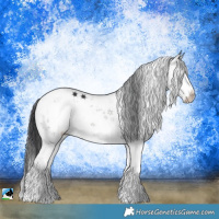 Horse Color:Grullo Mushroom Sabino Rabicano