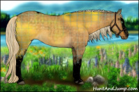 Horse Color:Void Plaid  White Spotted Chocolate Palomino Dun Tobiano 