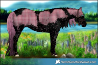 Horse Color:Void Watercolor Plaid Liver Red Dun Splash Tobiano Brindle