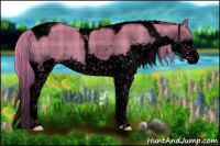Horse Color:Void Watercolor Plaid Liver Red Dun Splash Tobiano Brindle