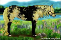Horse Color:Void Watercolor Plaid  Liver Red Dun Tobiano Rabicano Brindle 