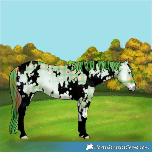 Horse Color:Void Watercolor Plaid  White Spotted Liver Red Dun Onyx 