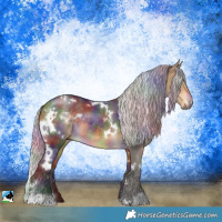 Horse Color:Nacre White Spotted Silver Buckskin