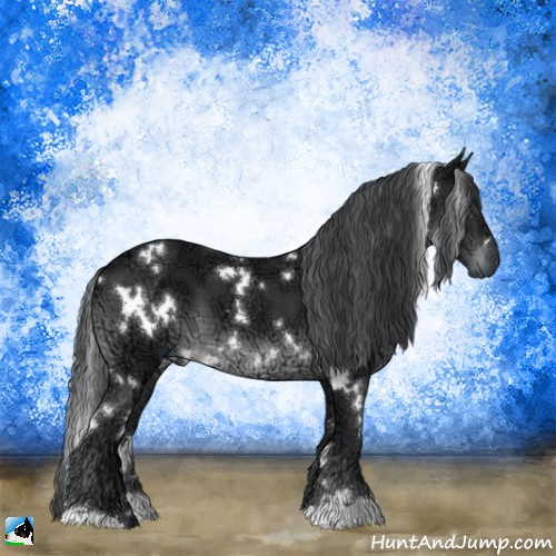 Horse Color:White Spotted Black Chinchilla Ice 