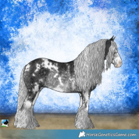 Horse Color:White Spotted Silver Black Chinchilla Ice Sabino Rabicano