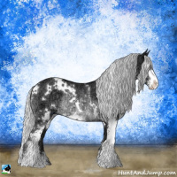 Horse Color:White Spotted Silver Black Chinchilla Ice Sabino Rabicano 