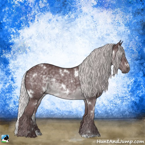 Horse Color:White Spotted Chocolate Silver Black Chinchilla Rabicano