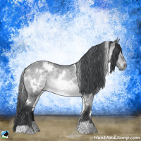 Horse Color:White Spotted Bay Chinchilla Rabicano