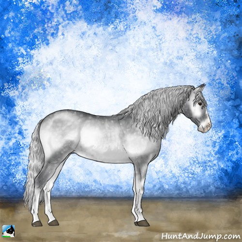 Horse Color:Silver Blue Onyx Chinchilla Sabino 