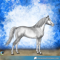 Horse Color:Silver Blue Onyx Chinchilla Sabino 