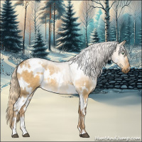 Horse Color:White Spotted Chocolate Palomino Dun Mushroom