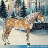Horse Color:White Spotted Chocolate Palomino Dun Mushroom 