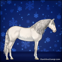 Horse Color:Cremello Roan Dun 