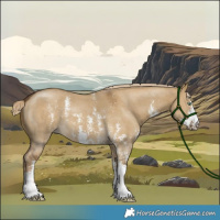 Horse Color:Chocolate Palomino Dun Mushroom Sabino