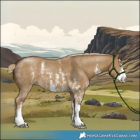 Horse Color:Chocolate Palomino Dun Mushroom Sabino 