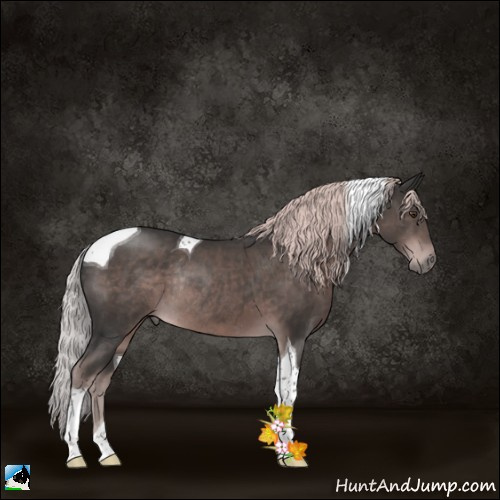 Horse Color:Platinum Liver Chestnut Tobiano Rabicano 