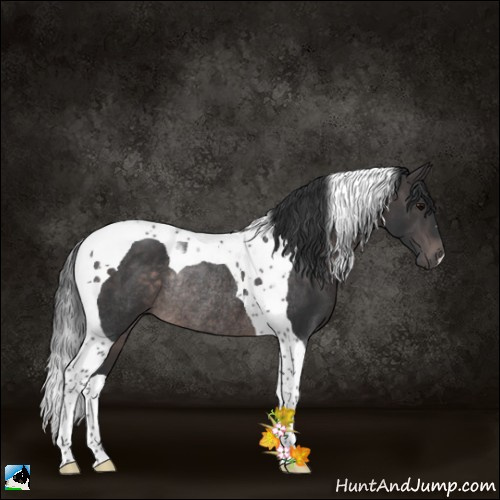 Horse Color:Platinum Brown Tobiano Rabicano 