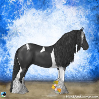 Horse Color:Platinum Black Tobiano
