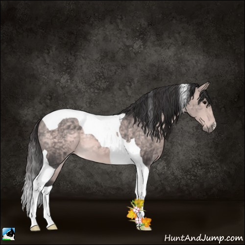 Horse Color:Platinum Buckskin Tobiano 