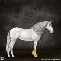 Horse Color:Platinum Perlino Tobiano Rabicano 