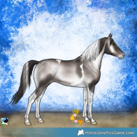 Horse Color:Platinum Liver Red Onyx Tobiano Rabicano