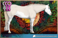 Horse Color:Smoky Creme Dun Splash 