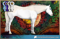 Horse Color:Perlino Dun Splash