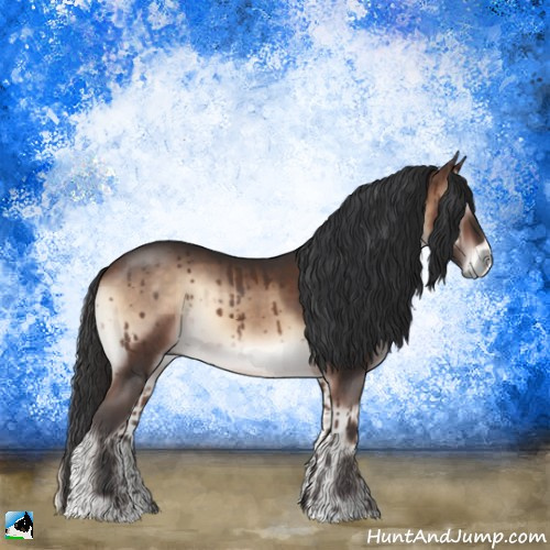 Horse Color:Bay Onyx Mushroom Sabino Rabicano 