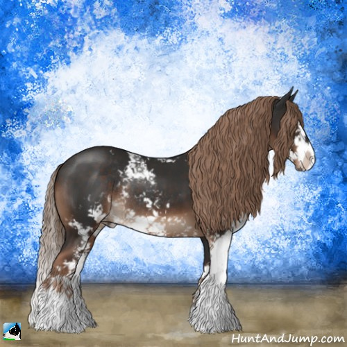 Horse Color:Liver Chestnut Sabino Splash Rabicano 