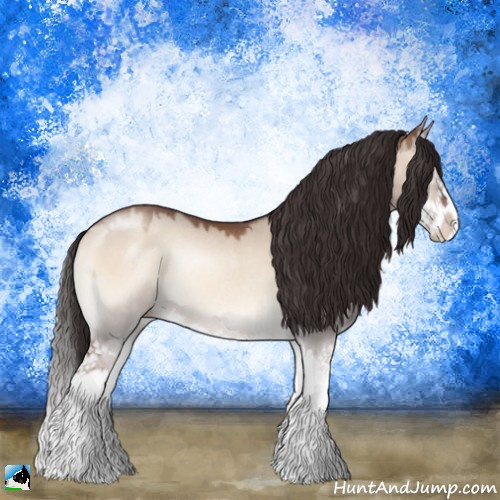 Horse Color:Sable Champagne Onyx Sabino Splash Rabicano 