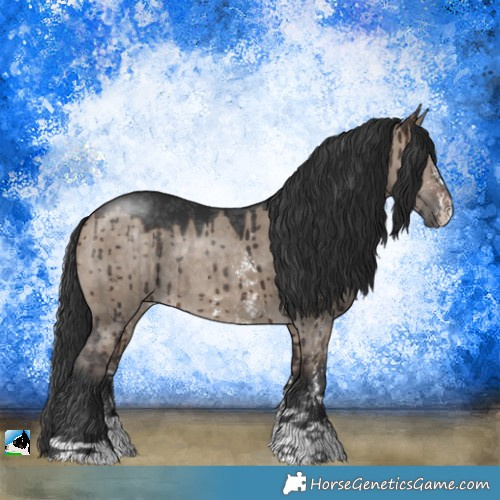Horse Color:Brown Dun Mushroom Sabino Rabicano Brindle