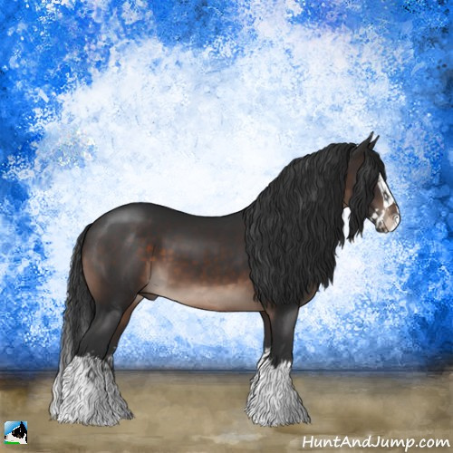 Horse Color:Brown Mushroom Sabino Splash 