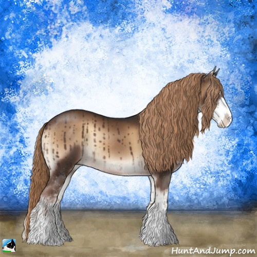Horse Color:Liver Red Onyx Sabino Rabicano 