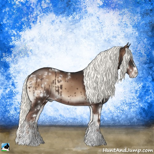 Horse Color:Liver Red Onyx Mushroom Sabino Rabicano 