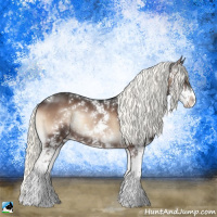 Horse Color:Liver Red Onyx Mushroom Sabino Rabicano 