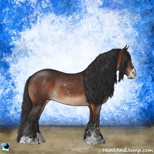 Horse Color:Brown Sabino Rabicano 