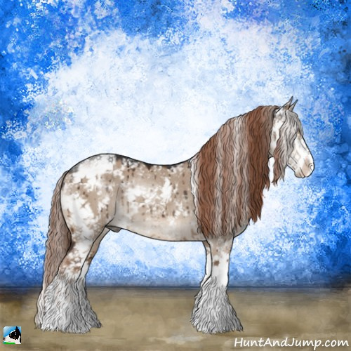 Horse Color:Liver Red Dun Sabino Rabicano Brindle 