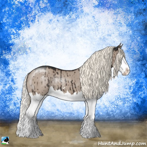 Horse Color:Liver Red Dun Mushroom Sabino Splash Rabicano Brindle 
