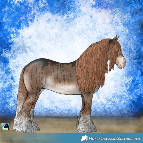 Horse Color:Liver Red Dun Sabino Splash Brindle