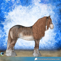 Horse Color:Liver Red Dun Sabino Splash Brindle 