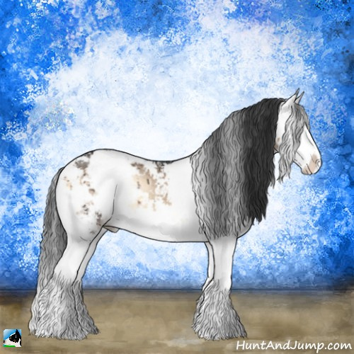 Horse Color:Brown Onyx Sabino Splash Rabicano Brindle 