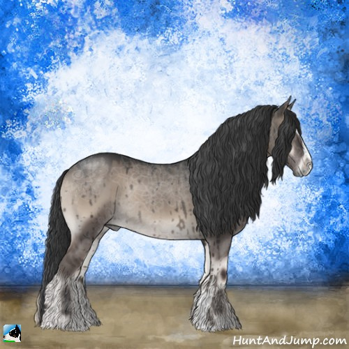 Horse Color:Grullo Onyx Sabino Rabicano Brindle 