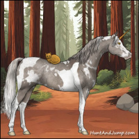 Horse Color:White Spotted Silver Grullo Splash Tobiano Rabicano