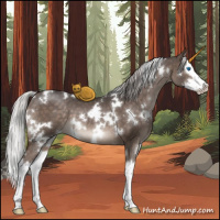 Horse Color:White Spotted Silver Brown Dun Splash