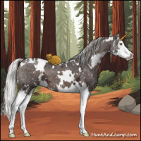 Horse Color:White Spotted Silver Brown Ice Splash