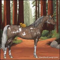 Horse Color:White Spotted Silver Brown Dun Tobiano 