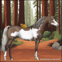 Horse Color:Silver Brown Dun Frame