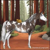 Horse Color:White Spotted Silver Brown Splash Rabicano